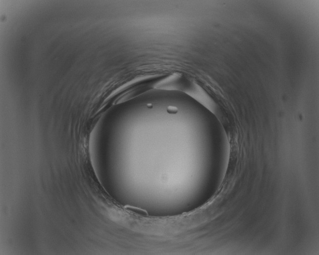 X0000074230045200608251124