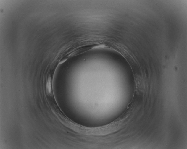 X0000074230046200608251124