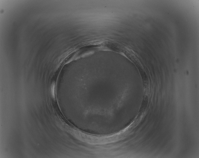 X0000074230047200608251124