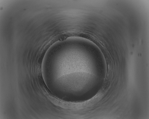 X0000074230048200608251124