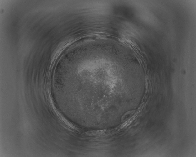 X0000074230049200608251123