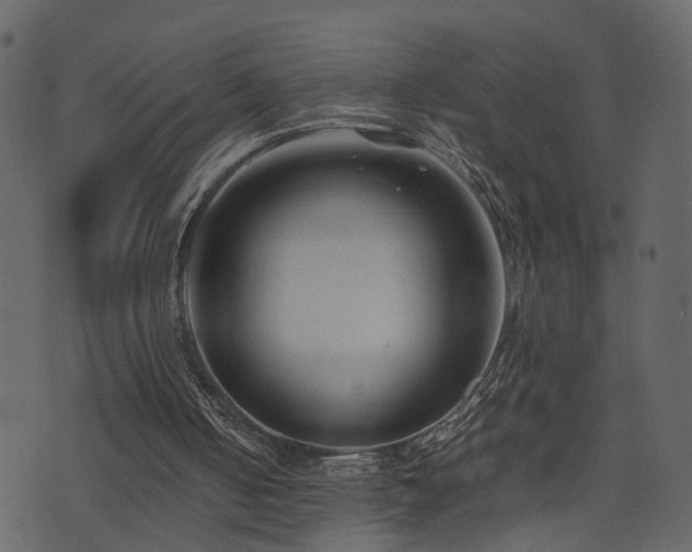 X0000074230050200608251123