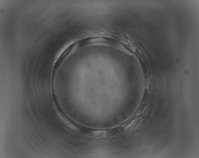 X0000074230052200608251123