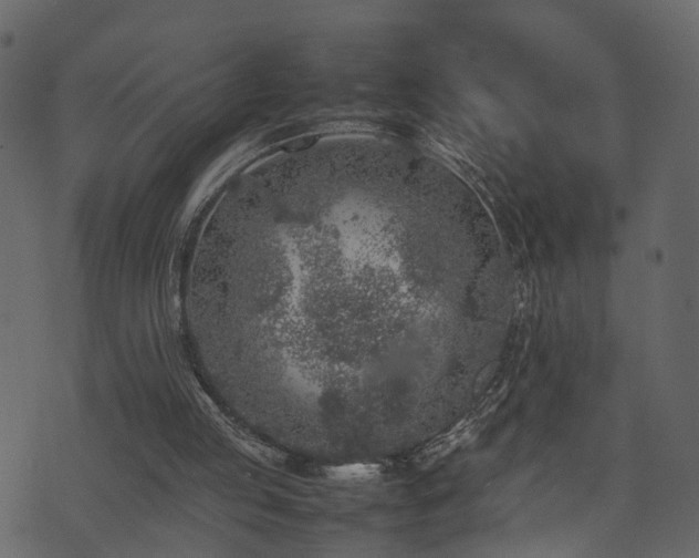 X0000074230053200608251123