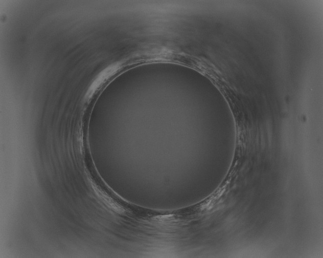 X0000074230054200608251123