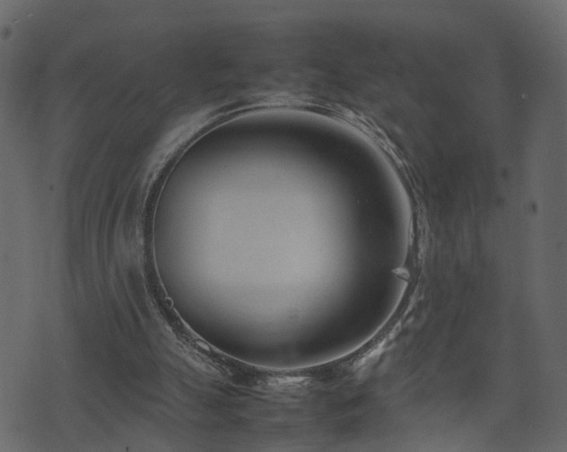 X0000074230055200608251123