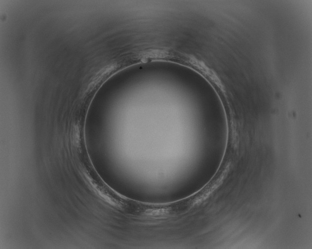 X0000074230057200608251123