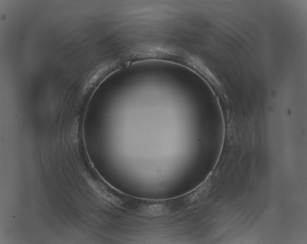 X0000074230058200608251124