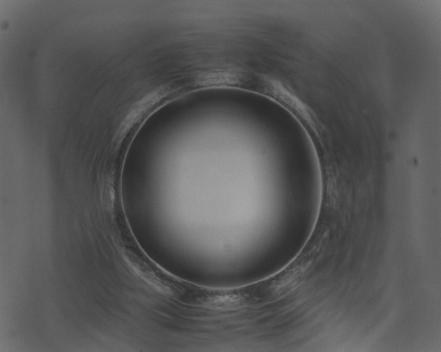 X0000074230059200608251124