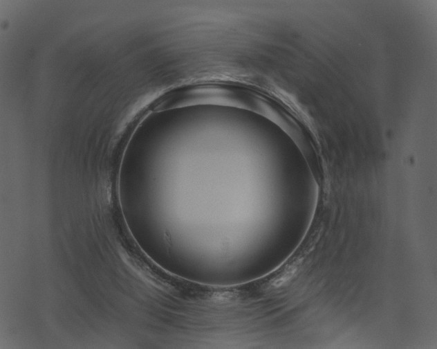 X0000074230060200608251124