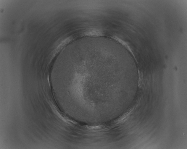 X0000074230061200608251124