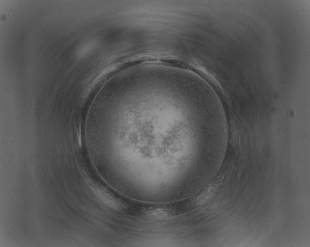 X0000074230062200608251124