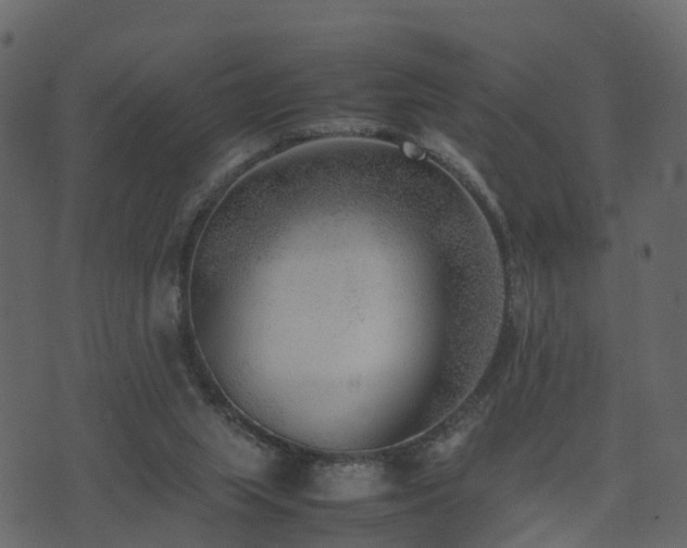 X0000074230063200608251124