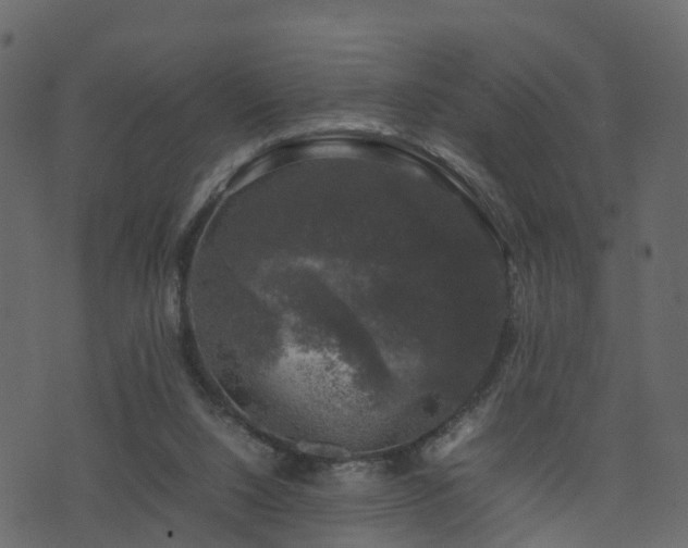 X0000074230064200608251124