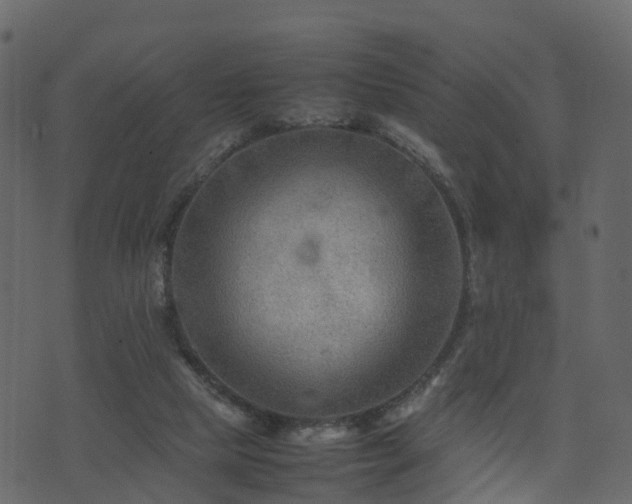 X0000074230065200608251124