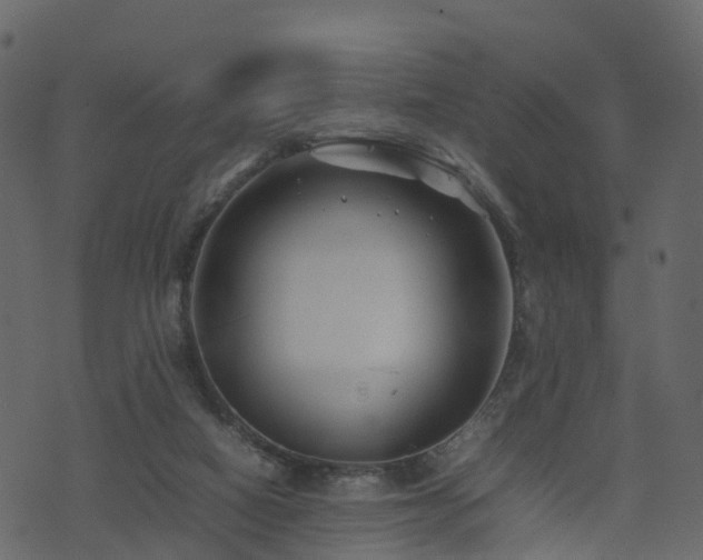 X0000074230066200608251124