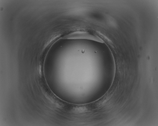 X0000074230067200608251124