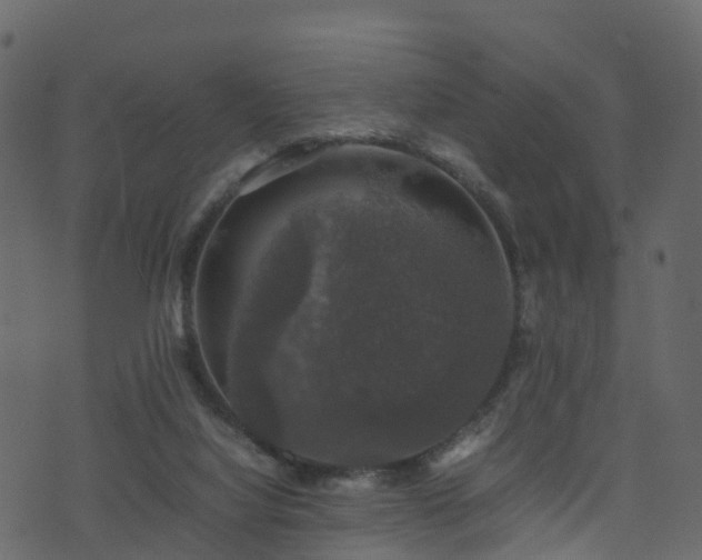 X0000074230068200608251124