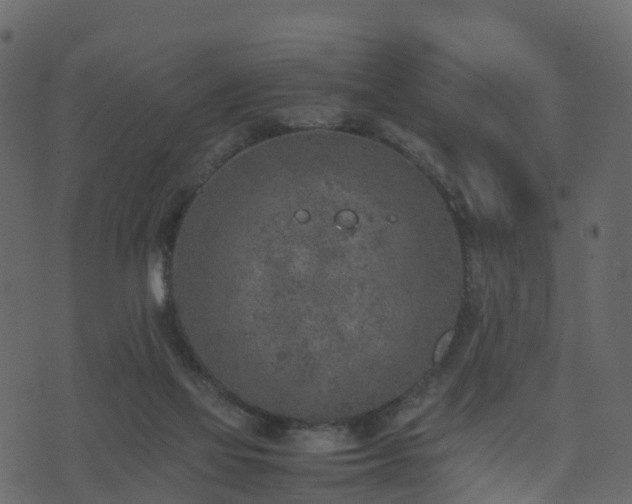 X0000074230069200608251124