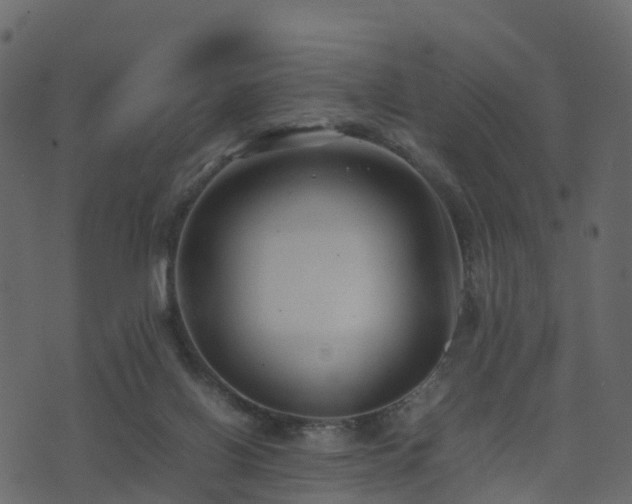 X0000074230070200608251124