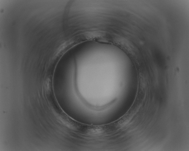 X0000074230071200608251124