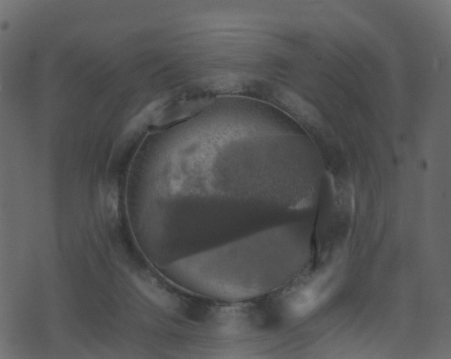 X0000074230072200608251124