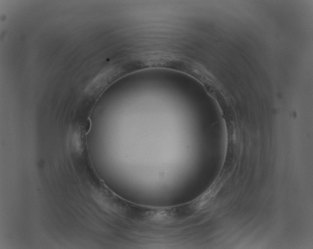 X0000074230074200608251124