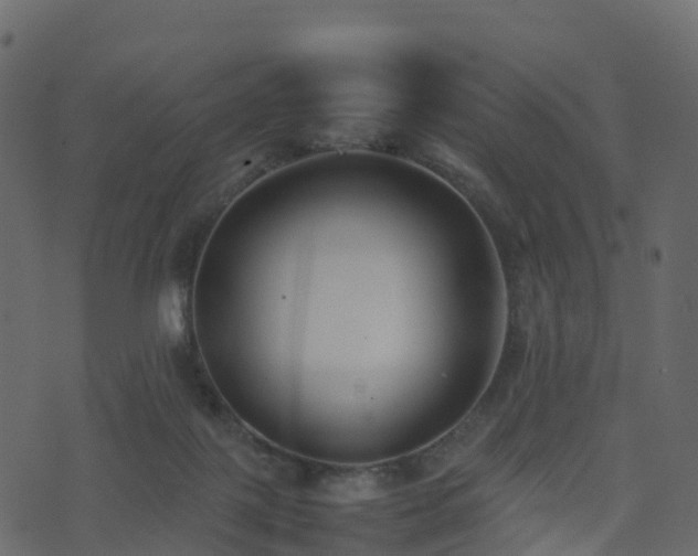 X0000074230075200608251124