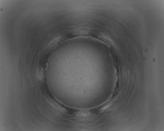 X0000074230077200608251124