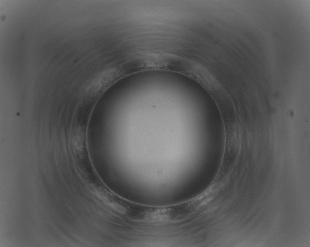 X0000074230078200608251124