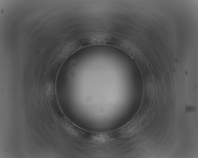 X0000074230079200608251124