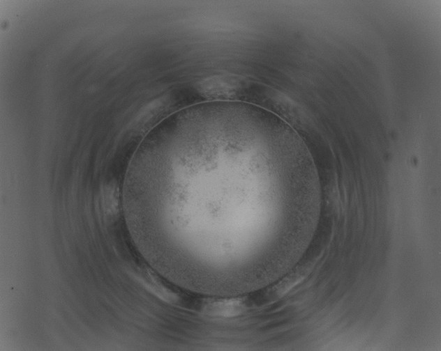 X0000074230081200608251124