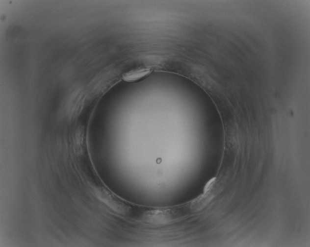 X0000074230082200608251124