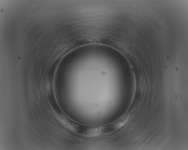 X0000074230084200608251124