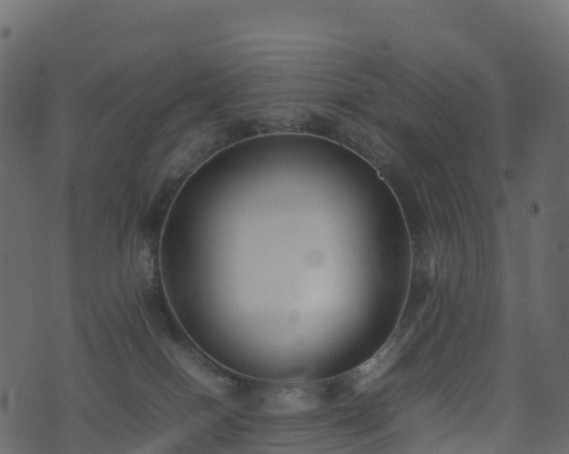 X0000074230086200608251124