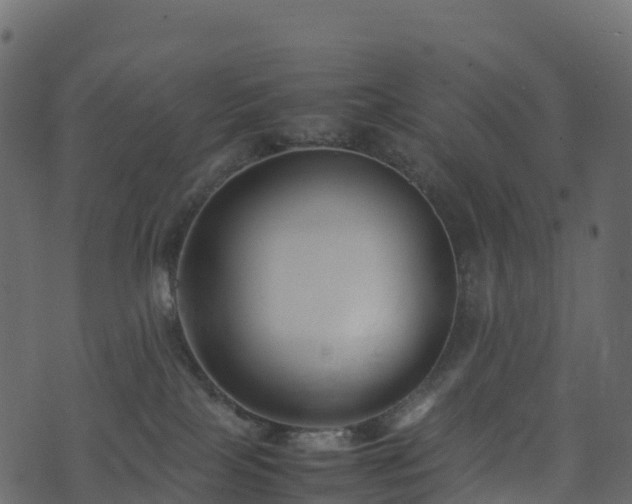 X0000074230089200608251124