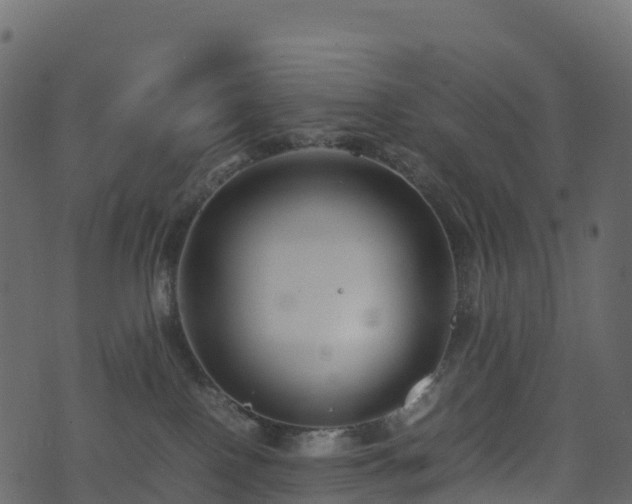 X0000074230090200608251124