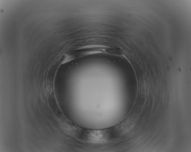 X0000074230091200608251124