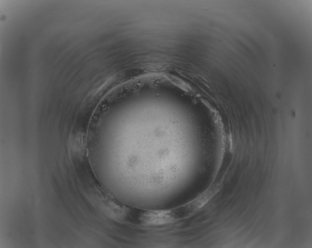 X0000074230093200608251124