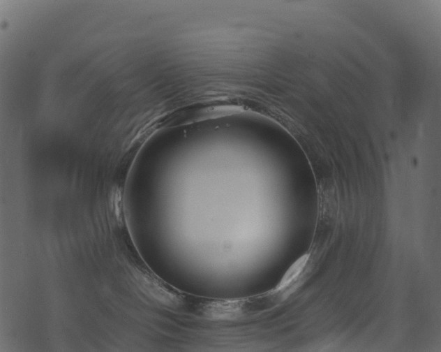 X0000074230094200608251124