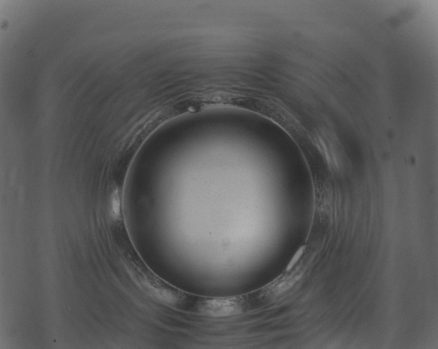 X0000074230095200608251124