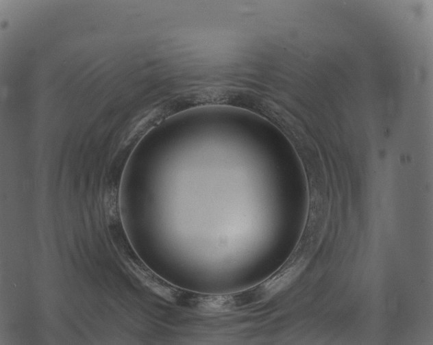 X0000074230096200608251124