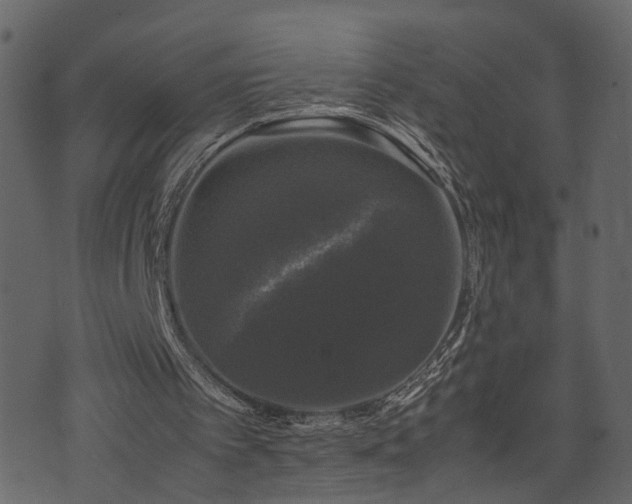 X0000074230097200608251123