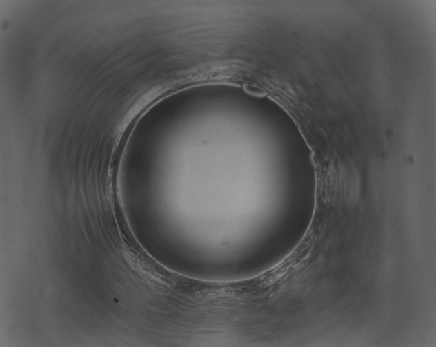 X0000074230100200608251123