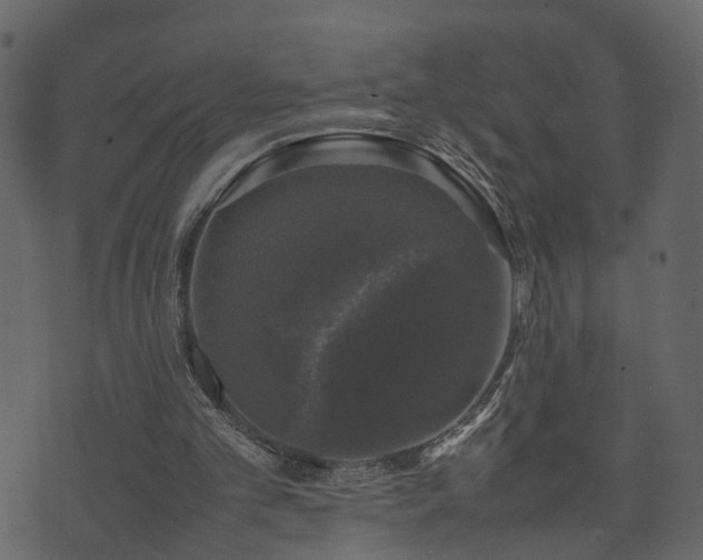 X0000074230101200608251123