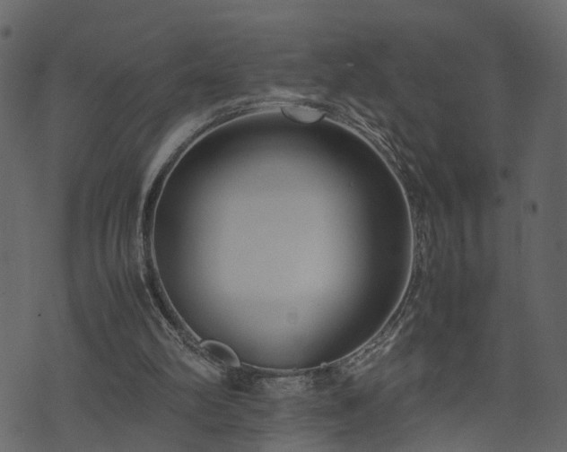 X0000074230102200608251123