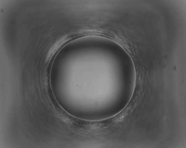 X0000074230103200608251123