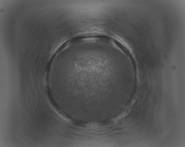 X0000074230105200608251123