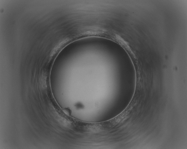 X0000074230106200608251123