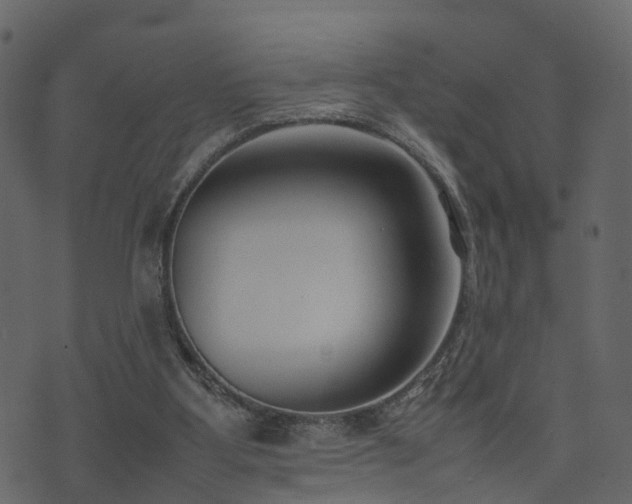 X0000074230107200608251123